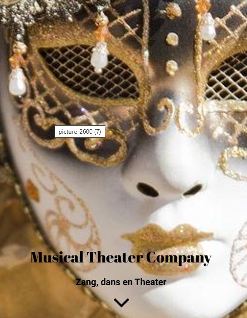 Logo van Musical Theater Comapny