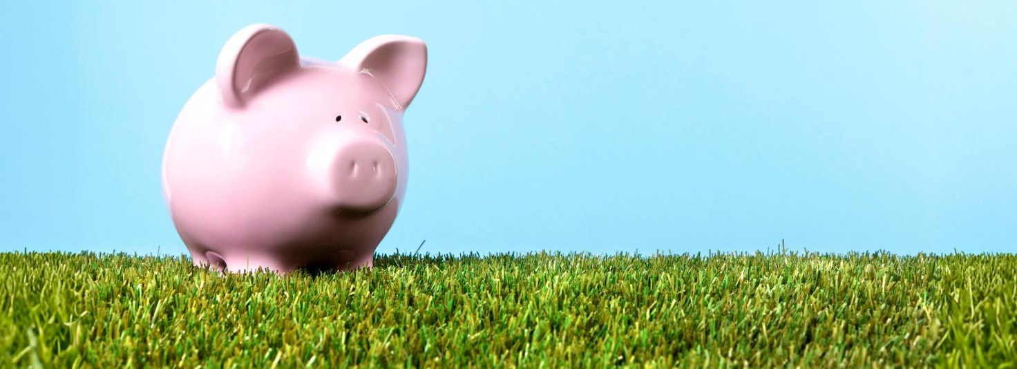 afbeelding voor Geen geld om mee te doen? 